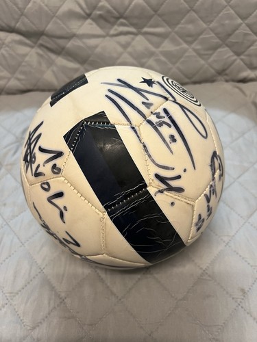 Pallone inter 2013 - pallone, 2013/14