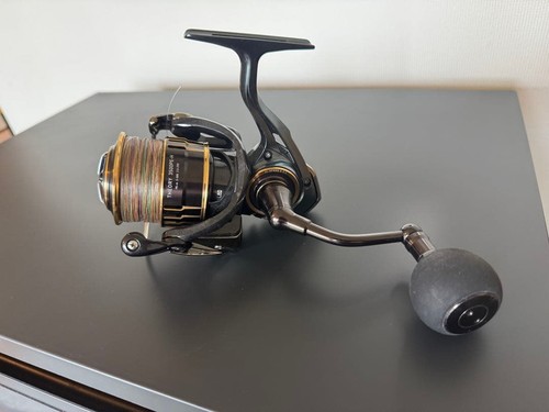 Mulinello spinning daiwa - spinning,