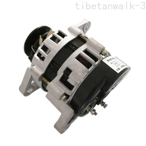 Puleggia domestica 220v 1500w - domestica,
