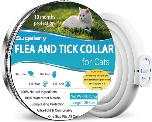 Collare per gatto - collare,