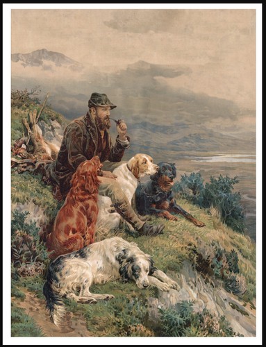 Poster inglese irlandese - poster,