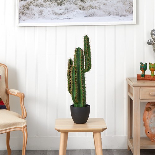 Pianta artificiale cactus - artificiale, di