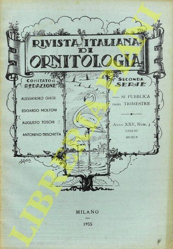 Galmann orlando - -, (galmann,