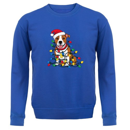Staffordshire bull terrier - bull,