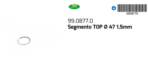 0877 segmento ø47x1 5 - 99.0877.0,