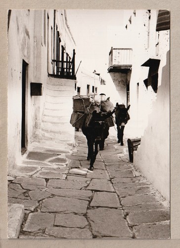 Grecia cartolina epoca - cartolina, d'epoca