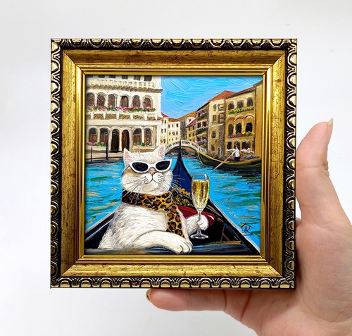 Gatto bianco venezia - gatto,