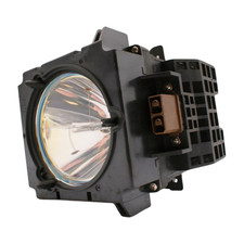 OEM Lamp & Housing for The