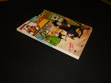 ZAGOR PRESENTA CICO BANDITO