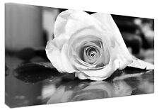 Quadro Moderno Arredamento Fiori Rosa Bianca cm.100x50 Stampa Tela Casa Design