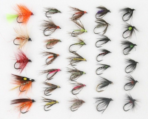 Barbless x24 scatola - o, x4