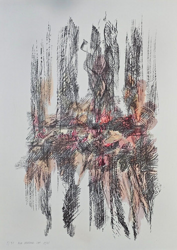 Aldo pancheri - (, trento