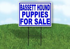 Bassett Hound CUCCIOLI IN