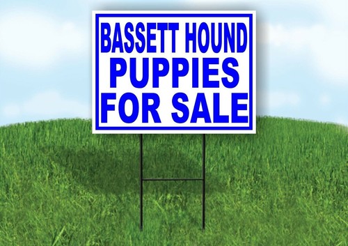 Bassett hound cuccioli - bassett,