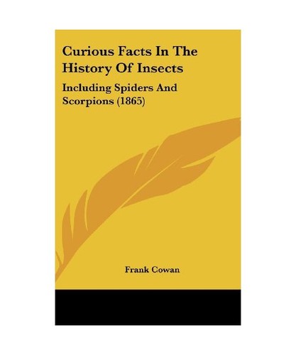 Curious facts the history - in,