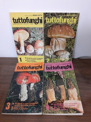 Cetti tuttofunghi guida - -,