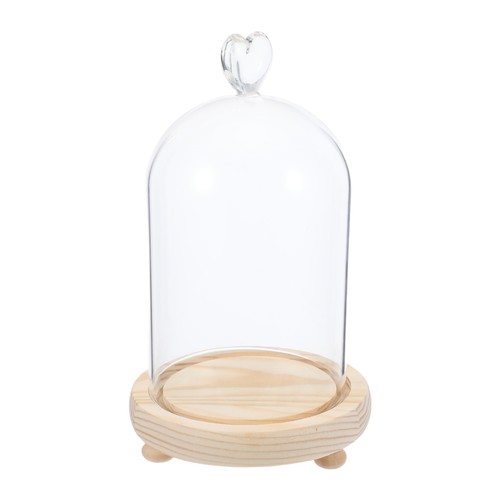 Coperchio piatto torta - , micro