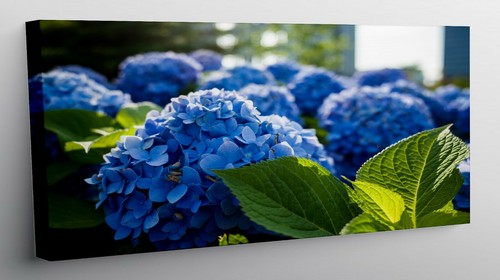 Quadro moderno stampa - quadro, tela