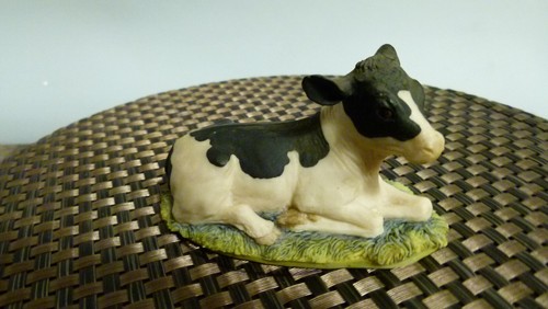 Border fine arts sitting calf - border,