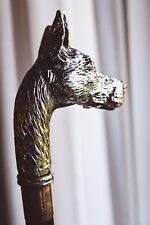 Bastone da passeggio con manico placcato argento - Testa di Cane 