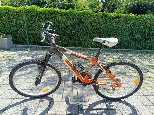 Mountain bike carnielli 24 - mountain,