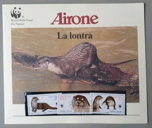 Folder lontra francobolli - folder, la