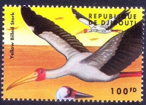 Gibuti 2000 mnh cicogna - 2000,