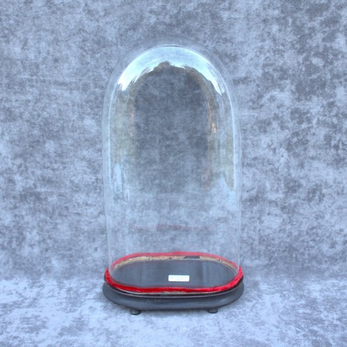 Antica cupola ovale - , vetro