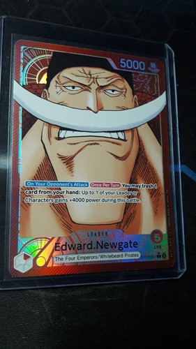 One piece edward - one,
