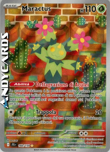 Maractus 160 159 - 160/159, •