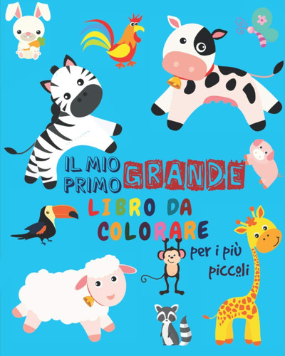 Mio primo grande - grande, libro