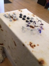 Tyranid 40k esercito usato