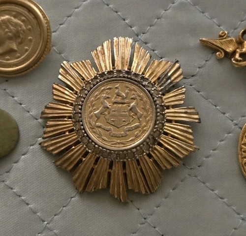 Spilla stemma denicola - spilla,