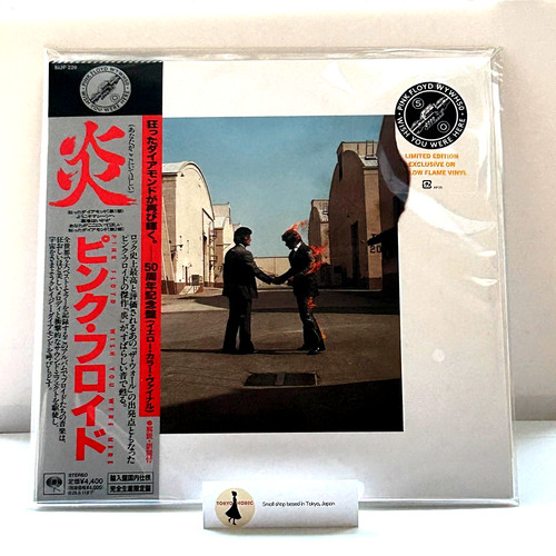 Pink floyd wish you were - you,