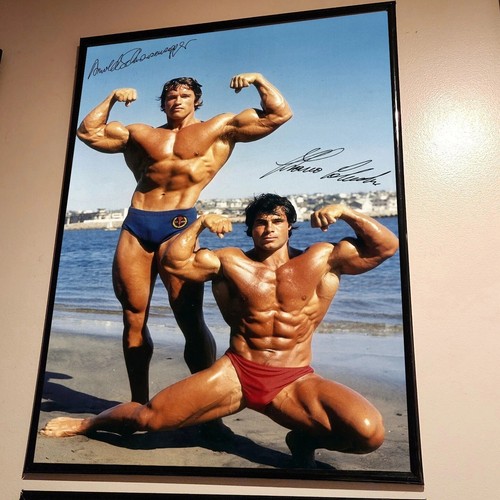 Poster arnold schwarzenegger - schwarzenegger, e