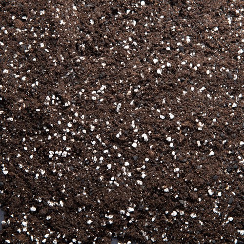 Premium houseplant potting - potting, mix