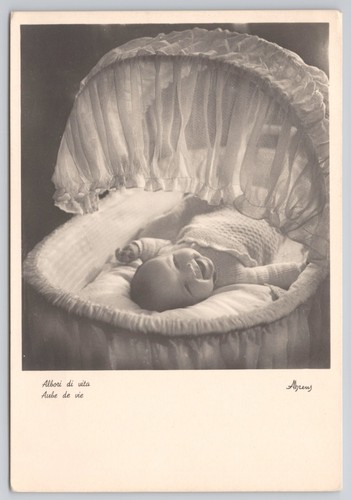 Cartolina albori vita baby - cartolina,