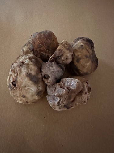 Tartufo fresco bianco - tartufo,