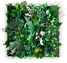 Quadro Vegetale Con Piante Stabilizzate Vere E Naturali, No Manutenzione, Polver