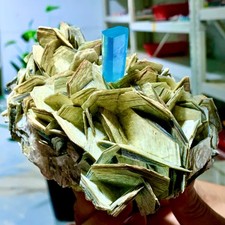 2,24 libbre acquamarina naturale mica paragenesi cristallo esemplare livello museo