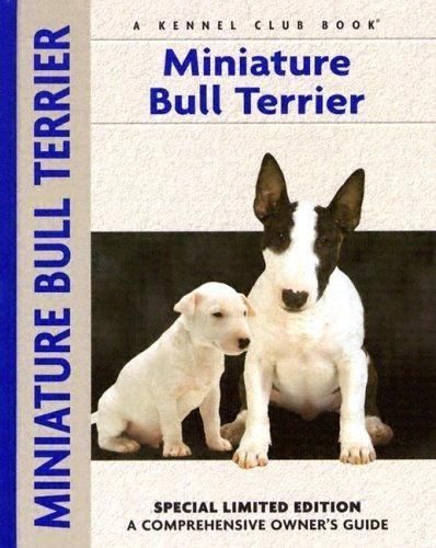 Miniature bull terrier - miniature,