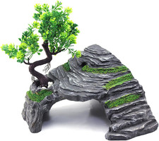 Rettili Nascondiglio Grotte