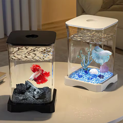 Mini acquario led - acquario, scrivania