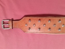 COLLARE PER CANE IN CUOIO CON BORCHIE USATO 
