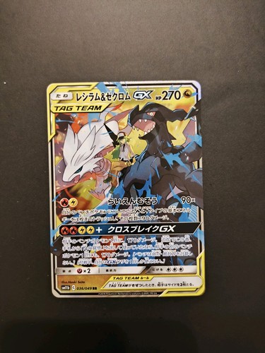 2019 reshiram zekrom - e, gx