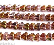 25 fiori di campanella ceca