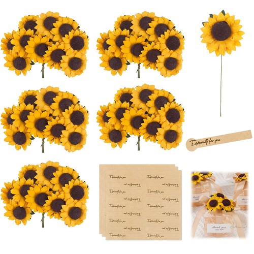 Euykqnoi 50pz girasoli finti - 50pz,