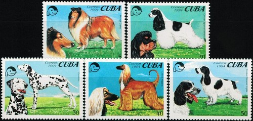Razze cani 5 - cani, valori