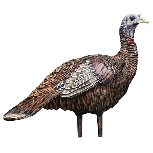 Avian lcd lookout hen turkey - avian,