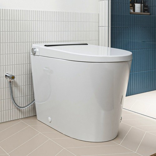 Non electric bidet toilet - non-electric, toilet,